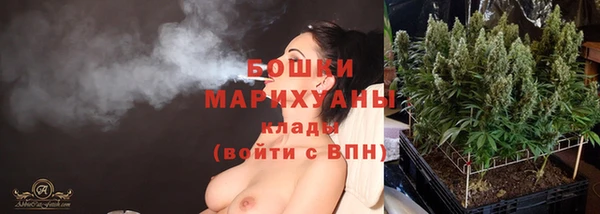 сатива Няндома