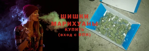 сатива Няндома