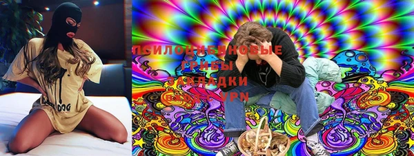 сатива Няндома