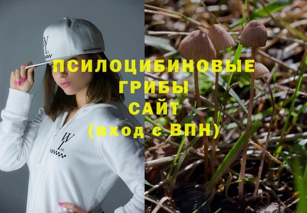 сатива Няндома