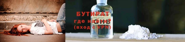 сатива Няндома