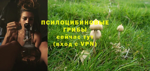 сатива Няндома