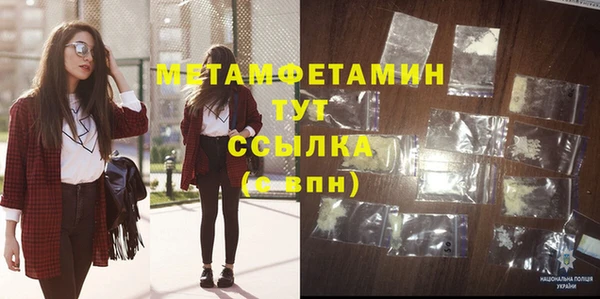 сатива Няндома