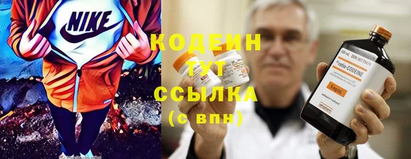 дмт Осинники